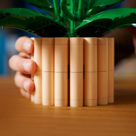 Imagine LEGO BOTANICALS CRINUL PACII 11504