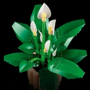 Imagine LEGO BOTANICALS CRINUL PACII 11504
