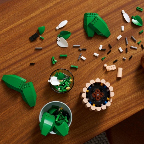 Imagine LEGO BOTANICALS CRINUL PACII 11504