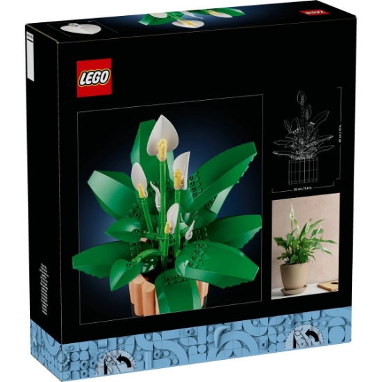 Imagine LEGO BOTANICALS CRINUL PACII 11504