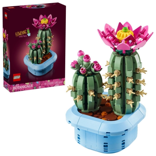 Imagine LEGO BOTANICALS CACTUS INFLORIT 11509 