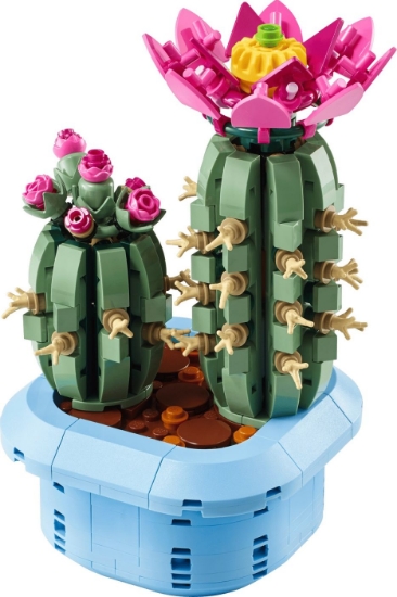 Imagine LEGO BOTANICALS CACTUS INFLORIT 11509 