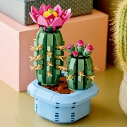 Imagine LEGO BOTANICALS CACTUS INFLORIT 11509 