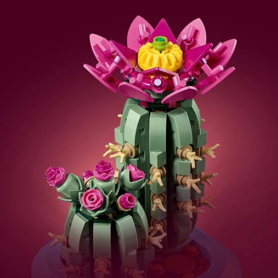 Imagine LEGO BOTANICALS CACTUS INFLORIT 11509 