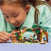 Imagine LEGO WICKED REFUGIUL ELPHABEI 75687