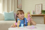 Imagine BARBIE FAMILY AND FRIENDS SET PAPUSA BARBIE MALIBU PLIMBARE CU CATELUL