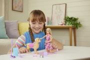 Imagine BARBIE FAMILY AND FRIENDS SET PAPUSA BARBIE MALIBU PLIMBARE CU CATELUL