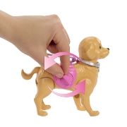Imagine BARBIE FAMILY AND FRIENDS SET PAPUSA BARBIE MALIBU PLIMBARE CU CATELUL