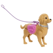 Imagine BARBIE FAMILY AND FRIENDS SET PAPUSA BARBIE MALIBU PLIMBARE CU CATELUL
