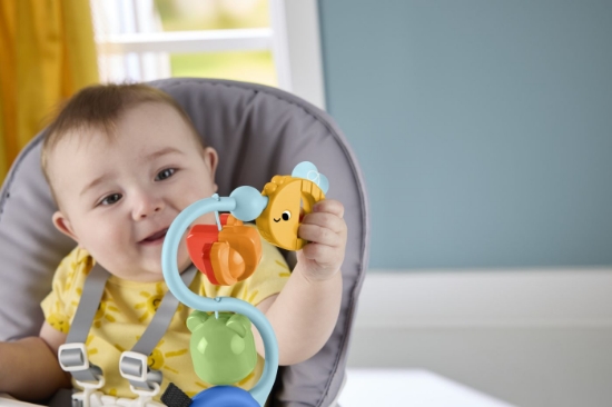 Imagine  FISHER PRICE JUCARIE SENZORIALA CU VENTUZA