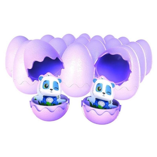 Imagine JOC HATCHY MATCHY