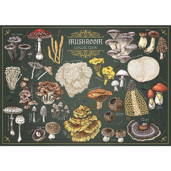 Imagine PUZZLE TREFL 500 PREMIUM PLUS FINDERS KEEPERS CIUPERCI