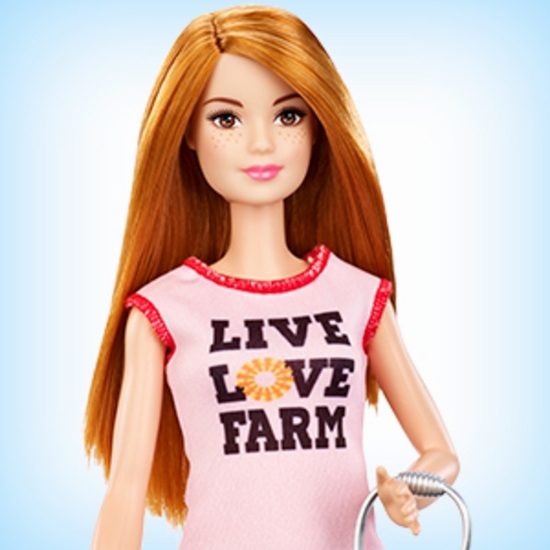 Imagine BARBIE CARIERE SET MOBILIER CU PAPUSA LA FERMA