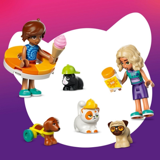 Imagine LEGO FRIENDS O ZI DISTRACTIVA IN PARCUL ACVATIC 42676