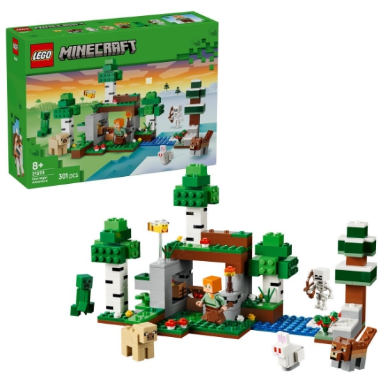 Imagine LEGO MINECRAFT PRIMA AVENTURA PE TIMP DE NOAPTE 21593