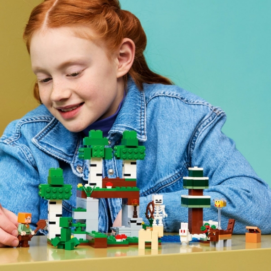 Imagine LEGO MINECRAFT PRIMA AVENTURA PE TIMP DE NOAPTE 21593