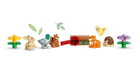Imagine LEGO DUPLO PADUREA DESCOPERIRILOR CU ANIMALE SALBATICE 10480