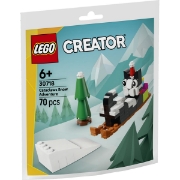 Imagine LEGO CREATOR AVENTURA IN ZAPADA A LUI CATACLAWS 30718