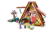 Imagine LEGO FRIENDS GLAMPING LA CABANA 42682