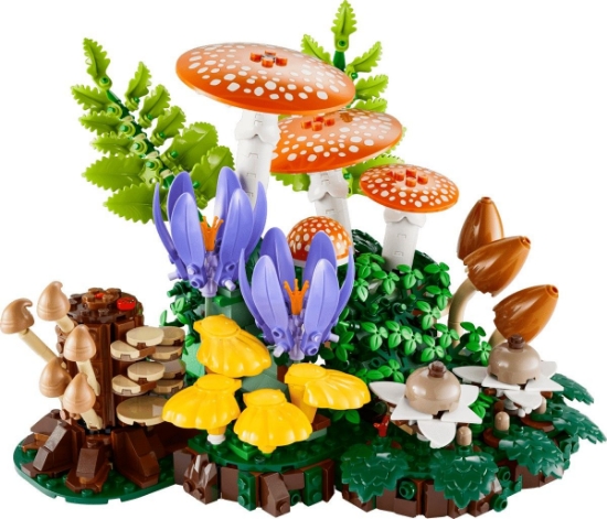 Imagine LEGO BOTANICALS CIUPERCI DE PADURE 11505