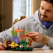 Imagine LEGO BOTANICALS CIUPERCI DE PADURE 11505