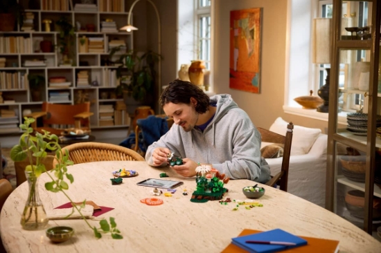 Imagine LEGO BOTANICALS CIUPERCI DE PADURE 11505