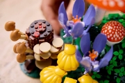 Imagine LEGO BOTANICALS CIUPERCI DE PADURE 11505