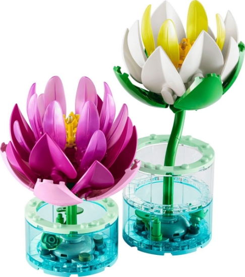 Imagine LEGO BOTANICALS NUFERI 11511