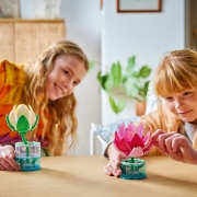 Imagine LEGO BOTANICALS NUFERI 11511