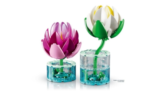 Imagine LEGO BOTANICALS NUFERI 11511