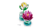 Imagine LEGO BOTANICALS NUFERI 11511