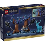 Imagine LEGO HARRY POTTER PADUREA INTERZISA EXPECTO PATRONUM 76475