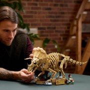 Imagine LEGO JURASSIC WORLD FOSILE DE DINOZAUR TRICERATOPS 77985