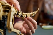 Imagine LEGO JURASSIC WORLD FOSILE DE DINOZAUR TRICERATOPS 77985