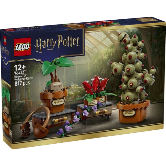 Imagine LEGO HARRY POTTER PLANTE PENTRU ORA DE IERBOLOGIE DE LA HOGWARTS 76474