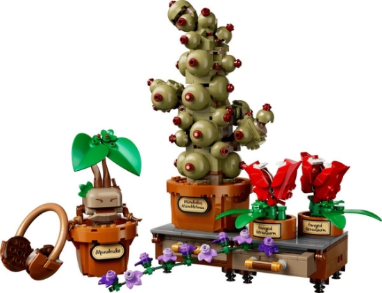 Imagine LEGO HARRY POTTER PLANTE PENTRU ORA DE IERBOLOGIE DE LA HOGWARTS 76474