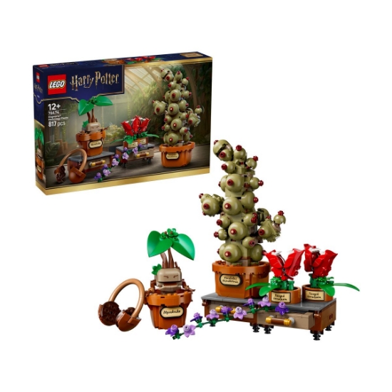 Imagine LEGO HARRY POTTER PLANTE PENTRU ORA DE IERBOLOGIE DE LA HOGWARTS 76474
