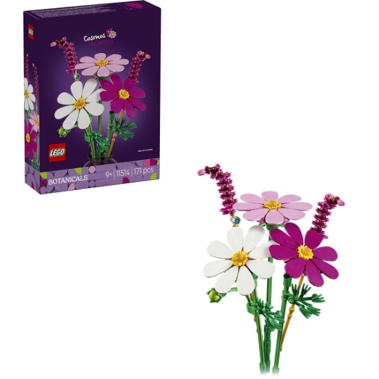 Imagine LEGO BOTANICALS FLUTURASI 11514