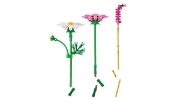 Imagine LEGO BOTANICALS FLUTURASI 11514