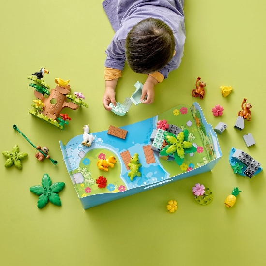 Imagine LEGO DUPLO ANIMALE SALBATICE DIN AMERICA DE SUD 10973