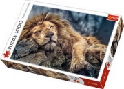 Imagine Puzzle Trefl 1000 Leu dormind