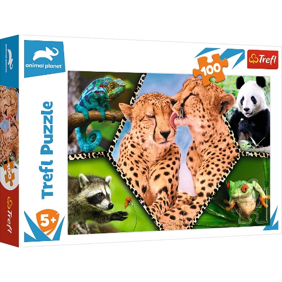 Imagine PUZZLE TREFL 100 NATURA FRUMOASA