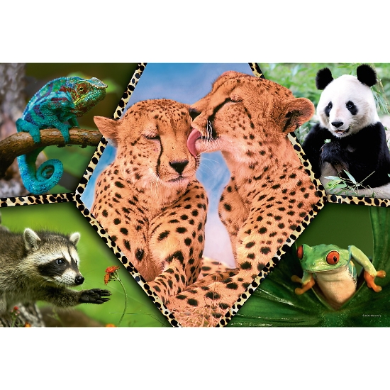 Imagine PUZZLE TREFL 100 NATURA FRUMOASA