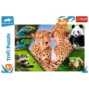 Imagine PUZZLE TREFL 100 NATURA FRUMOASA