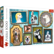 Imagine Puzzle Trefl 1000 – Galeria cățeilor