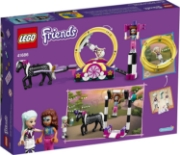 Imagine LEGO FRIENDS ACROBATII MAGICE