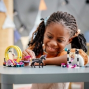Imagine LEGO FRIENDS ACROBATII MAGICE