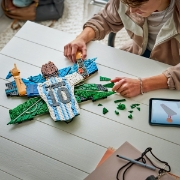 Imagine LEGO EDITIONS LIONEL MESSI SARBATORIRE 43018