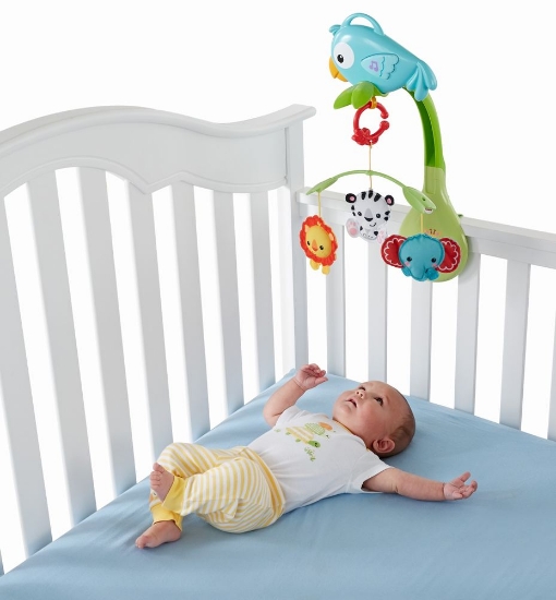 Imagine SUPORT PENTRU PATUT SI CARUCIOR PRIETENII DIN PADURE FISHER PRICE