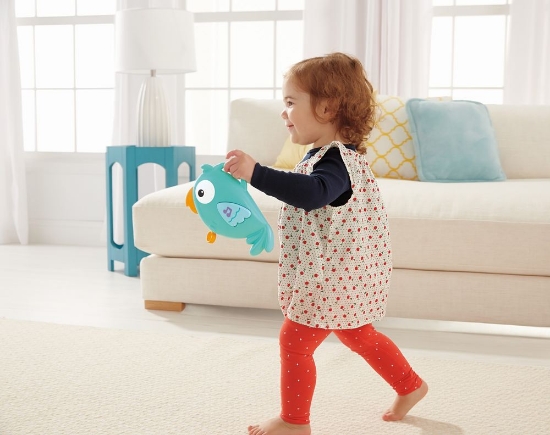 Imagine SUPORT PENTRU PATUT SI CARUCIOR PRIETENII DIN PADURE FISHER PRICE